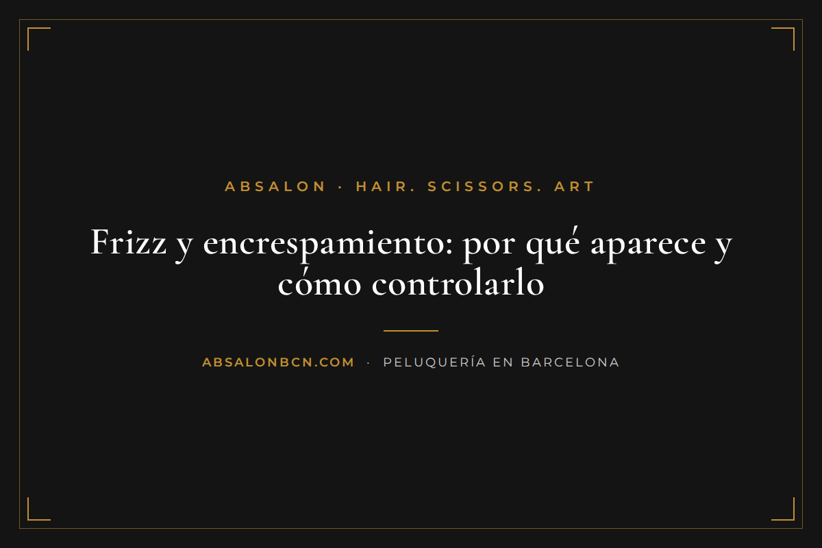 Melena femenina con encrespamiento y frizz antes de un tratamiento anti-frizz